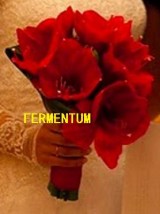 wiązanka ślubna - Kwiaciarnia Fermentum Warszawa