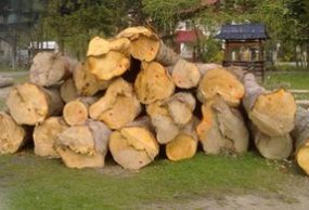 drewno budowlane, altany - Usługi Tartaczne i Handel Drewnem Grzegorz Dyląg Rymanów-Zdrój