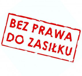 bez prawa do zasiłku - cover-band - zespół muzyczny coverowy Pruszcz Gdański