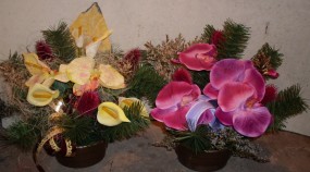 Stroik mały Storczyk - PPHU Werkub Chorzów