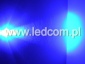 Diody LED oświetlenie LED - Robakowo AmberLED Małgorzata Szymańska