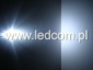 Robakowo AmberLED Małgorzata Szymańska - Diody LED