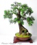 Pracownia Artystyczna Dragon Maria Pietras Łomża - Sztuczne drzewka bonsai