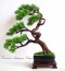 Pracownia Artystyczna Dragon Maria Pietras - Sztuczne drzewka bonsai Łomża