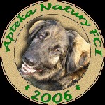 Hodowla psów rasy Leonberger - Apteka Natury FCI Załuski
