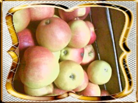 Jabłka, czereśnie, śliwki, wiśnie - Ogrodnicza Spółdzielnia Handlowo Usługowa Obrazów