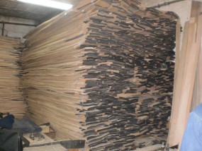 Fornir Jesion - Zakład Przerobu Drewna BIGAJ Golczowice