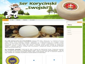 tworzenie stron www - Agencja Reklamowa Piorun Projekt Artur Szoka Sokółka