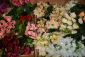 Hurtownia kwiatow MAR-DAR - kwiatki sztuczne Zabrze