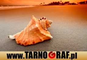 Fototapeta na wymiar - P.H.U. TARNOGRAF - Fabryka Reklamy Tarnobrzeg