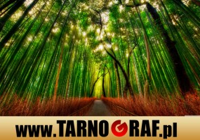 Fototapeta na wymiar - P.H.U. TARNOGRAF - Fabryka Reklamy Tarnobrzeg