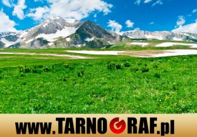 Fototapeta na wymiar - P.H.U. TARNOGRAF - Fabryka Reklamy Tarnobrzeg