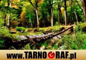 Fototapeta na wymiar - P.H.U. TARNOGRAF - Fabryka Reklamy Tarnobrzeg