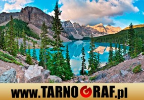 Fototapeta na wymiar - P.H.U. TARNOGRAF - Fabryka Reklamy Tarnobrzeg