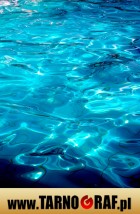 Fototapeta na wymiar - P.H.U. TARNOGRAF - Fabryka Reklamy Tarnobrzeg