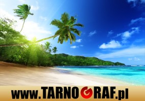 Fototapeta na wymiar - P.H.U. TARNOGRAF - Fabryka Reklamy Tarnobrzeg