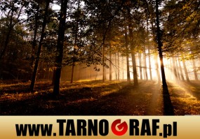 Fototapeta na wymiar - P.H.U. TARNOGRAF - Fabryka Reklamy Tarnobrzeg