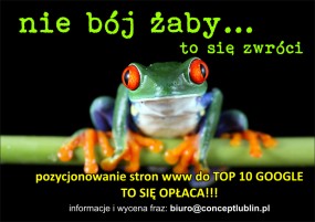 Tworzenie stron www i pozycjonowanie - CONCEPT Agencja Reklamowa Lublin
