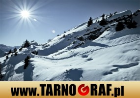 Fototapeta na wymiar - P.H.U. TARNOGRAF - Fabryka Reklamy Tarnobrzeg