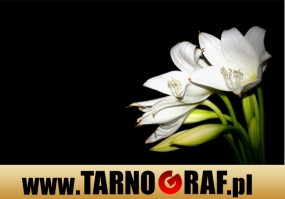 Fototapeta na wymiar - P.H.U. TARNOGRAF - Fabryka Reklamy Tarnobrzeg