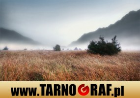 Fototapeta na wymiar - P.H.U. TARNOGRAF - Fabryka Reklamy Tarnobrzeg