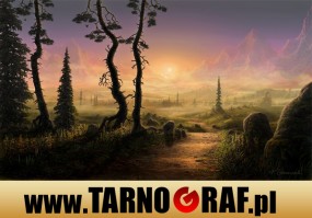 Fototapeta na wymiar - P.H.U. TARNOGRAF - Fabryka Reklamy Tarnobrzeg