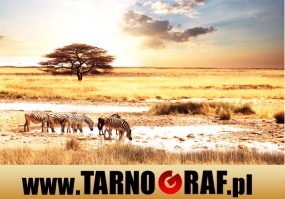 Fototapeta na wymiar - P.H.U. TARNOGRAF - Fabryka Reklamy Tarnobrzeg