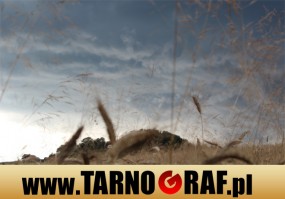 Fototapeta na wymiar - P.H.U. TARNOGRAF - Fabryka Reklamy Tarnobrzeg