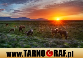 Fototapeta na wymiar - P.H.U. TARNOGRAF - Fabryka Reklamy Tarnobrzeg