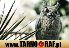 Fototapeta na wymiar - P.H.U. TARNOGRAF - Fabryka Reklamy Tarnobrzeg