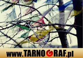 Fototapeta na wymiar - P.H.U. TARNOGRAF - Fabryka Reklamy Tarnobrzeg