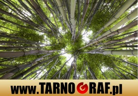 Fototapeta na wymiar - P.H.U. TARNOGRAF - Fabryka Reklamy Tarnobrzeg