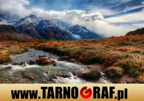 Fototapeta na wymiar - P.H.U. TARNOGRAF - Fabryka Reklamy Tarnobrzeg