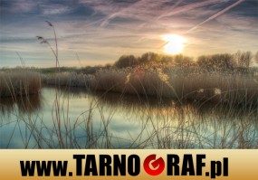 Fototapeta na wymiar - P.H.U. TARNOGRAF - Fabryka Reklamy Tarnobrzeg