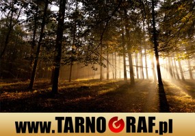 Fototapeta na wymiar - P.H.U. TARNOGRAF - Fabryka Reklamy Tarnobrzeg