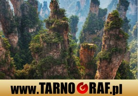 Fototapeta na wymiar - P.H.U. TARNOGRAF - Fabryka Reklamy Tarnobrzeg