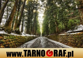 Fototapeta na wymiar - P.H.U. TARNOGRAF - Fabryka Reklamy Tarnobrzeg