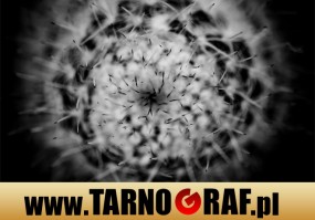 Fototapeta na wymiar - P.H.U. TARNOGRAF - Fabryka Reklamy Tarnobrzeg