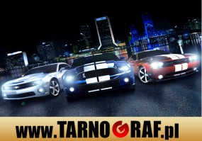 Fototapeta na wymiar - P.H.U. TARNOGRAF - Fabryka Reklamy Tarnobrzeg