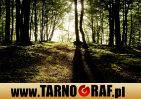 Fototapeta na wymiar - P.H.U. TARNOGRAF - Fabryka Reklamy Tarnobrzeg