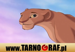 Fototapeta na wymiar - P.H.U. TARNOGRAF - Fabryka Reklamy Tarnobrzeg