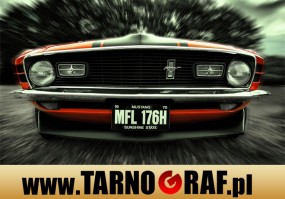 Fototapeta na wymiar - P.H.U. TARNOGRAF - Fabryka Reklamy Tarnobrzeg