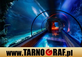 Fototapeta na wymiar - P.H.U. TARNOGRAF - Fabryka Reklamy Tarnobrzeg