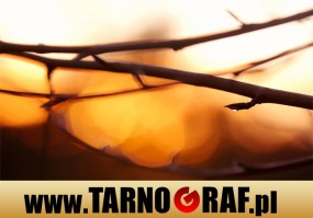 Fototapeta na wymiar - P.H.U. TARNOGRAF - Fabryka Reklamy Tarnobrzeg