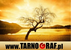 Fototapeta na wymiar - P.H.U. TARNOGRAF - Fabryka Reklamy Tarnobrzeg