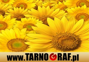 Fototapeta na wymiar - P.H.U. TARNOGRAF - Fabryka Reklamy Tarnobrzeg