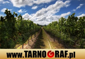 Fototapeta na wymiar - P.H.U. TARNOGRAF - Fabryka Reklamy Tarnobrzeg