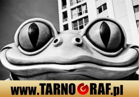 Fototapeta na wymiar - P.H.U. TARNOGRAF - Fabryka Reklamy Tarnobrzeg