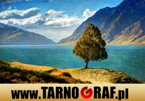 Fototapeta na wymiar - P.H.U. TARNOGRAF - Fabryka Reklamy Tarnobrzeg