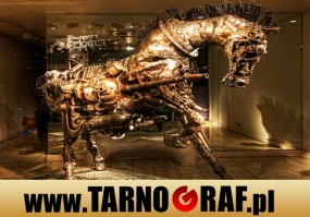 Fototapeta na wymiar - P.H.U. TARNOGRAF - Fabryka Reklamy Tarnobrzeg